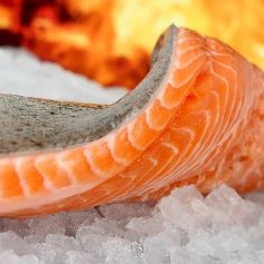 Fagyasztott haltermékek